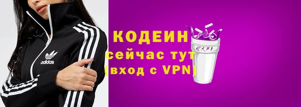 гидра Карпинск