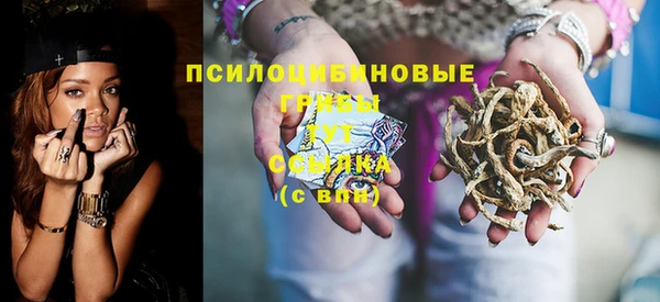 соль ск Алзамай
